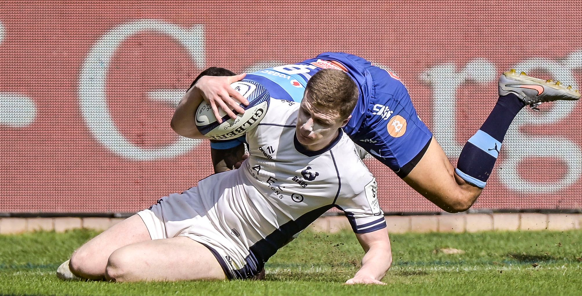 Gallery: Bears into knockout stages with historic win in Pretoria ...