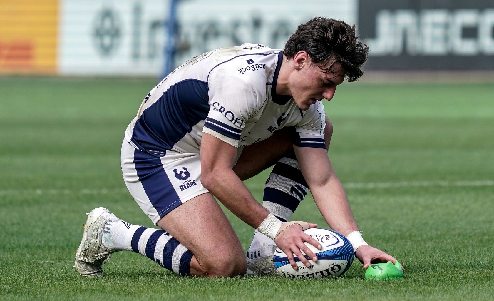 Gallery: Bears into knockout stages with historic win in Pretoria ...